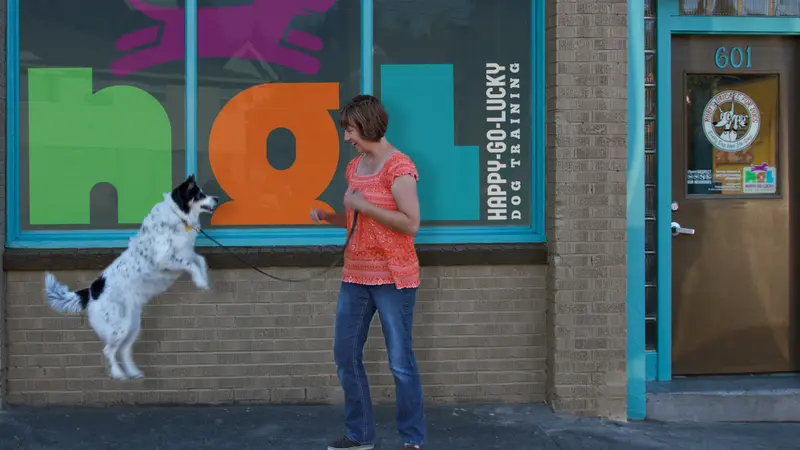 Happy-Go-Lucky Dog Training preview