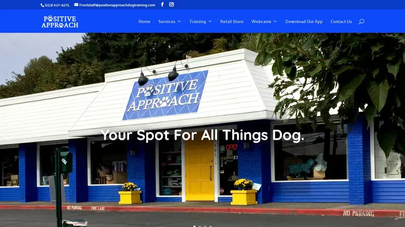 Positive Approach Dog Training & Daycare preview
