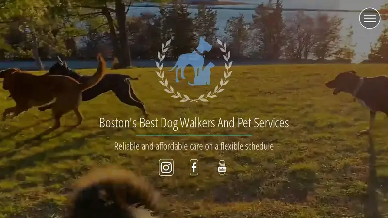 Boston's Best Dog Walkers and Pet Services preview