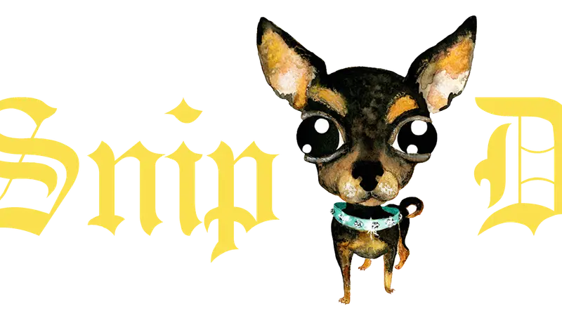 Snip Dogg Doggy Spa preview