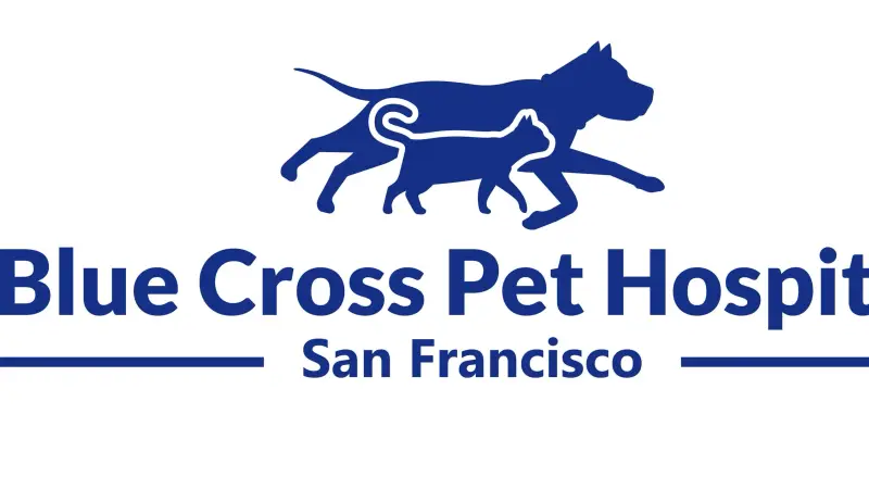Blue Cross Pet Hospital preview