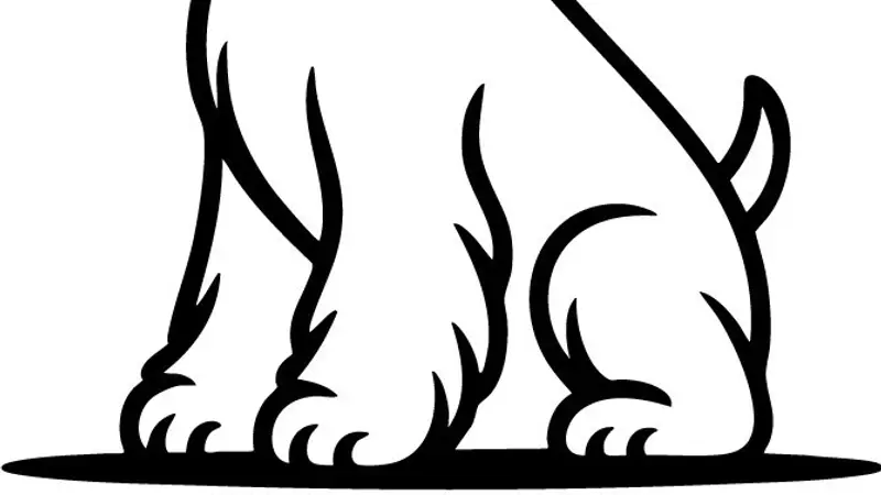 Bougie Dog Boutique preview