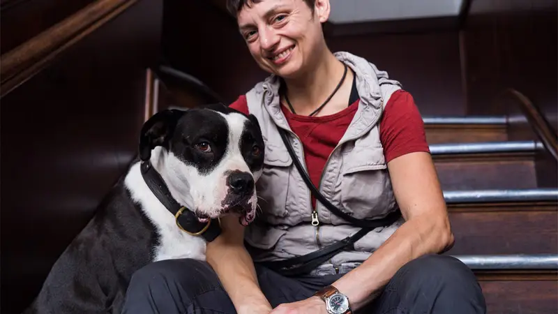 See Spot Run - Kennel & Training preview
