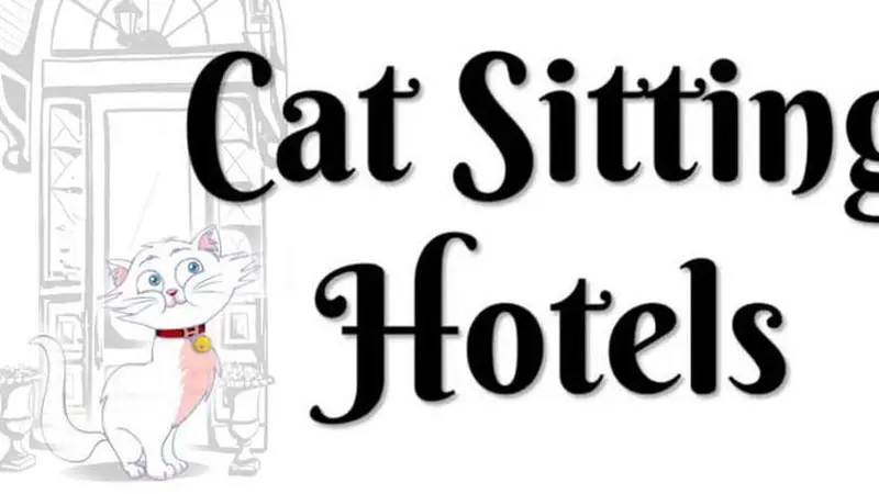 Cat Sitting Hotels preview