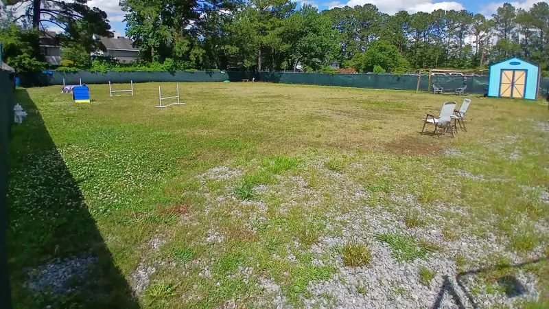 Wag N Dash Play Yard preview