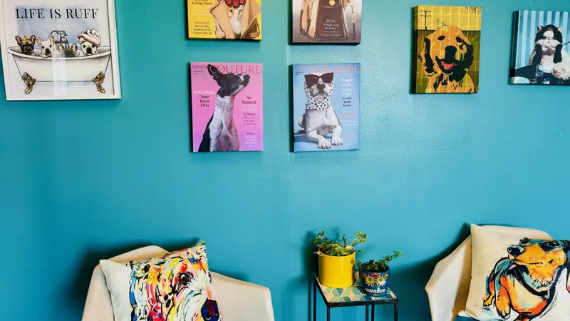Charm City Groomery preview