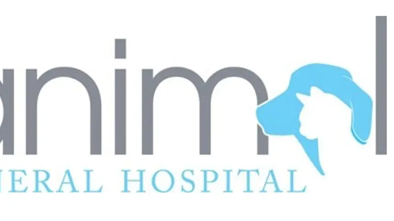 Animal General Hospital preview