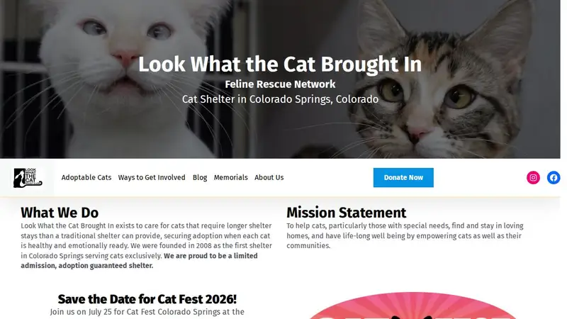 Feline Rescue Network Dba Lookwhatthecatbroughtin.Org preview