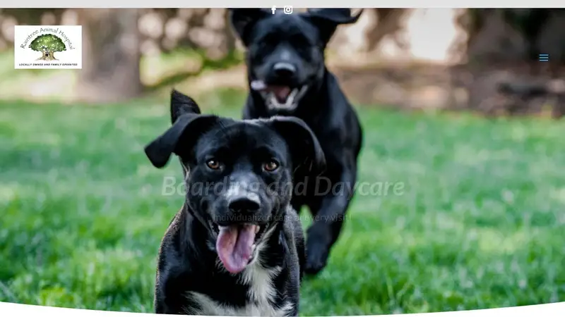 Raintree Animal Hospital Boarding & Daycare preview