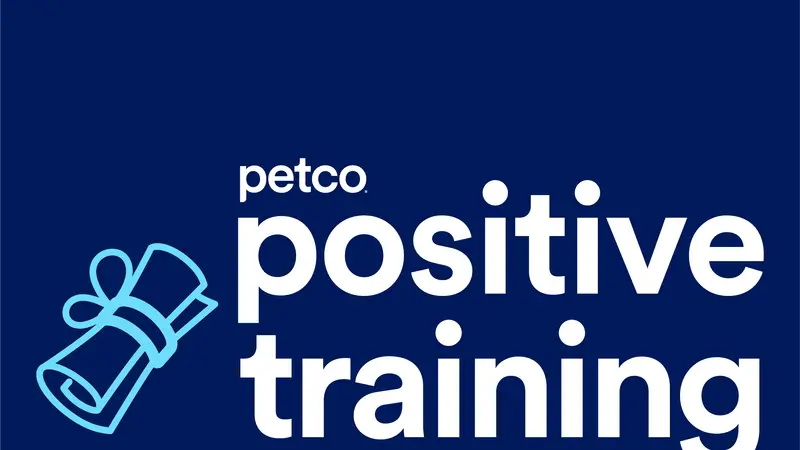 Petco Dog Training preview