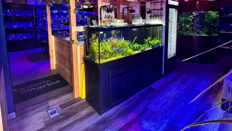 Aquatic Marine preview