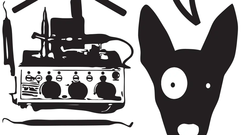 Qualified Pet Dental preview