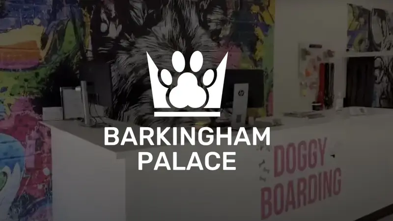 Barkingham Pawlace preview