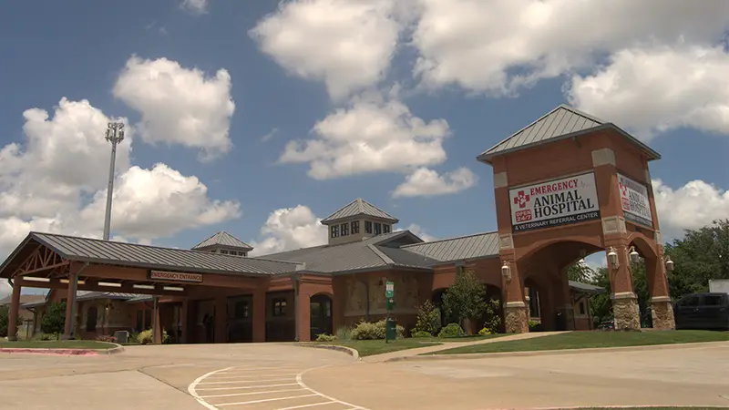 Emergency Animal Hospital of Collin County preview