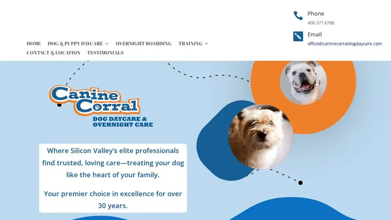 Canine Corral Dog Daycare preview