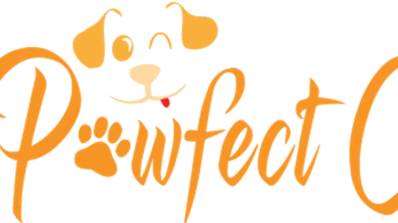 Pawfect Choice preview