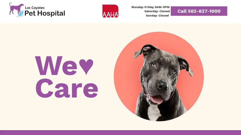 Los Coyotes Pet Hospital preview