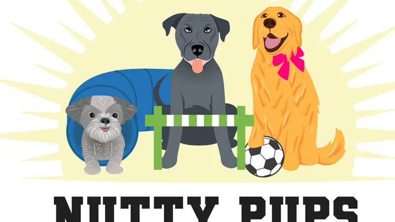 Nutty Pups Canine Club preview
