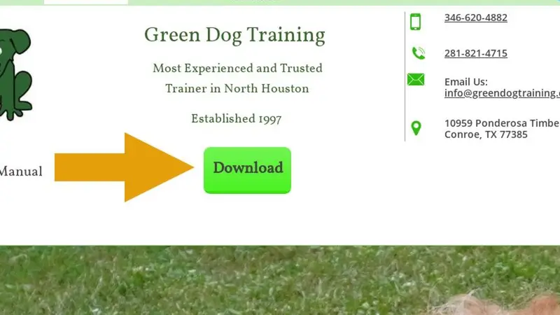 Green Dog Training preview