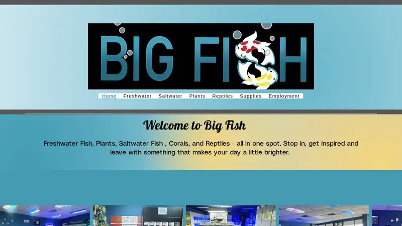 Big Fish preview
