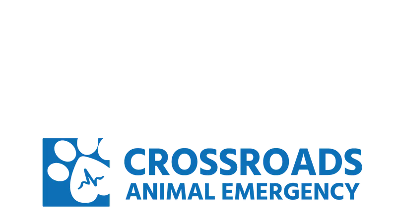 CROSSROADS ANIMAL EMERGENCY preview