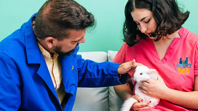 PetVet365 Pet Hospital Indianapolis / Eagle Creek preview