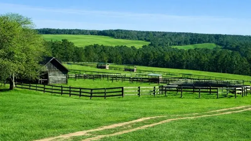 Palmetto Equine Center preview