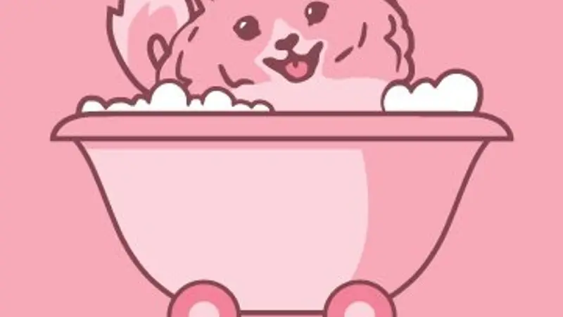 The Pink Pup Mobile Grooming preview