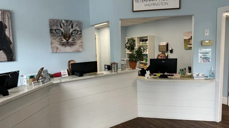 Whole Pet Veterinary Hospital Wilmington preview