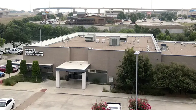 Dallas Veterinary Surgical Center (DVSC) - Fort Worth preview