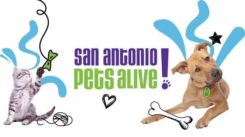 San Antonio Pets Alive preview