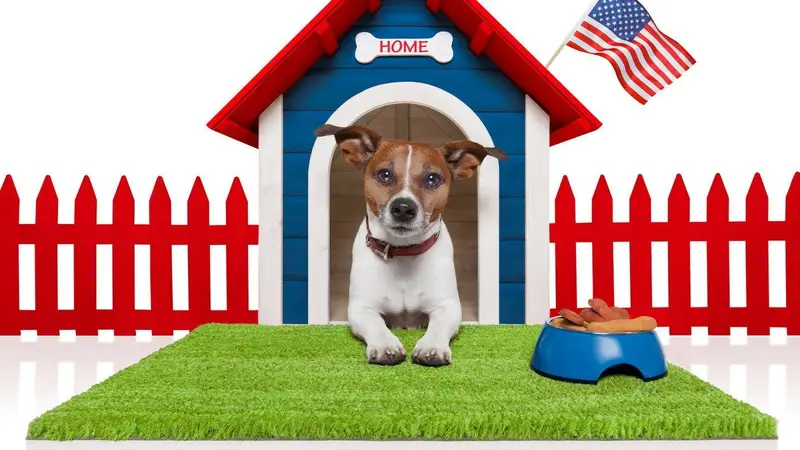 Paw Keepers Dog Walking and Pet Sitting Service preview