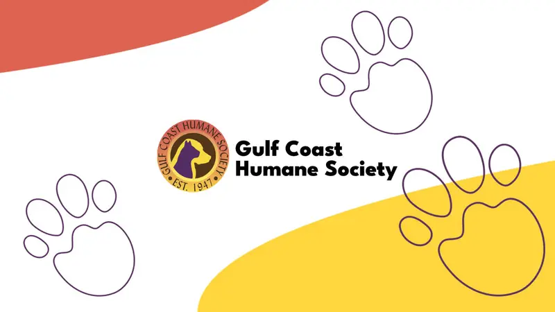 Gulf Coast Humane Society preview