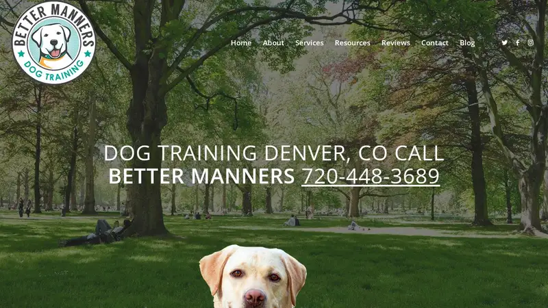 Better Manners Home Dog Training preview
