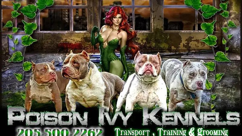 Poison Ivy Kennels & Transport LLC preview