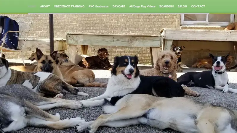 Paw Paw's Pets preview