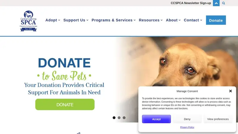 Spca Small Animal Hospital preview