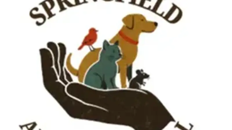 Springfield Animal Hospital preview