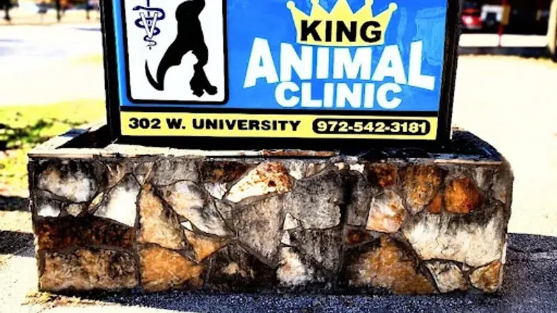 King Animal Clinic preview