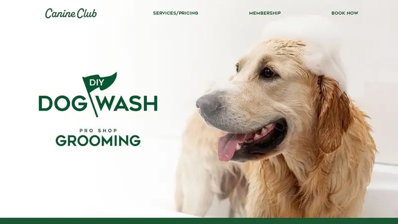 Canine Club preview