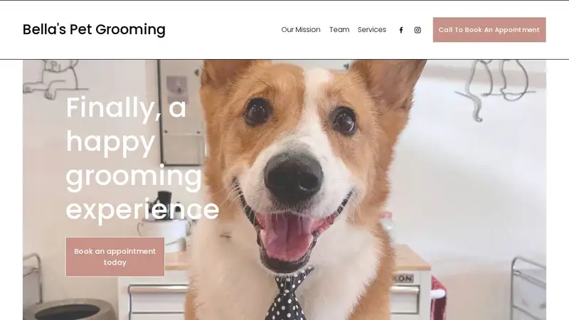 Bella's Grooming preview