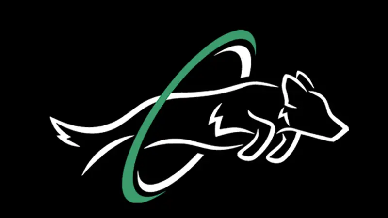 Dog Tribe L.A. preview