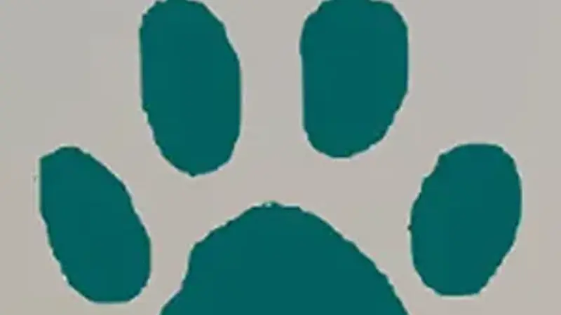 Pinion Veterinary Hospital preview