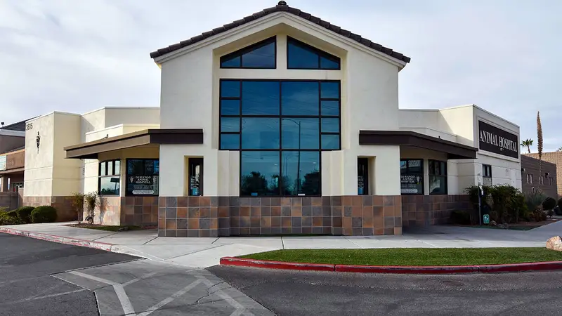Durango Animal Hospital preview