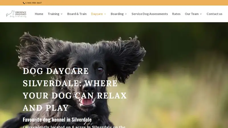 Silverdale Doggy Vacation Lodge preview