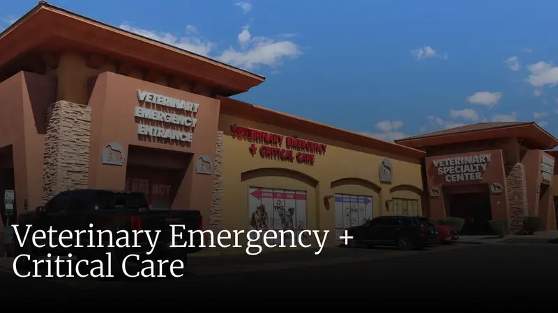 Eastern Veterinary Emergency Hospital preview