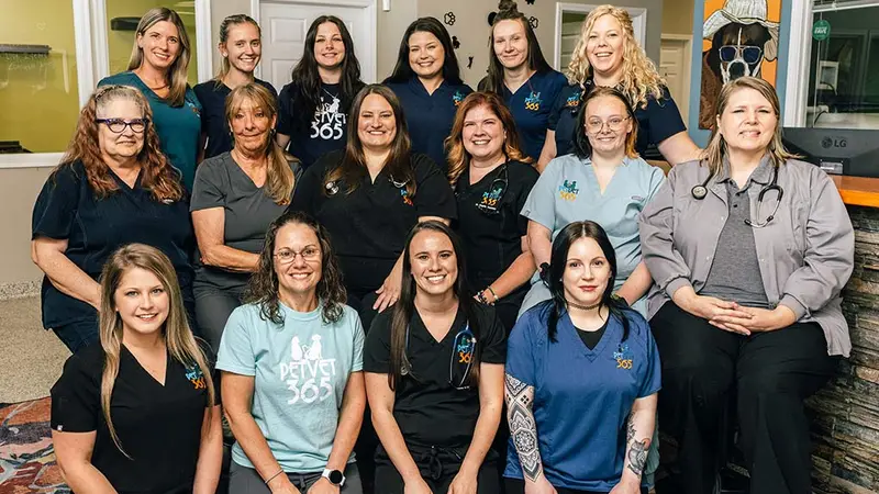 PetVet365 Pet Hospital Louisville Jeffersontown preview