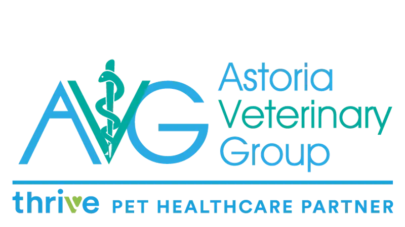 Astoria Veterinary Group preview