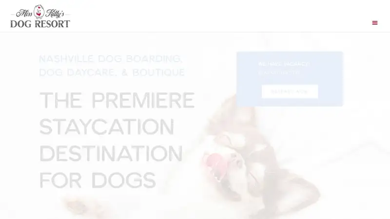 Miss Kitty's Dog Resort preview