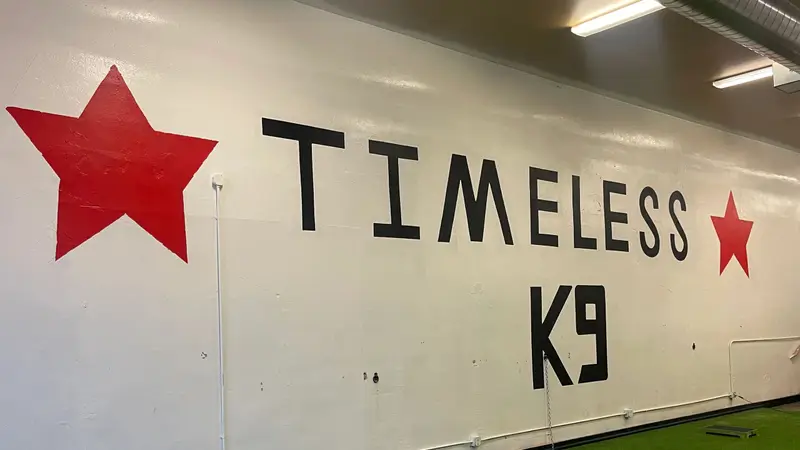Timeless K9 Boarding and Training preview